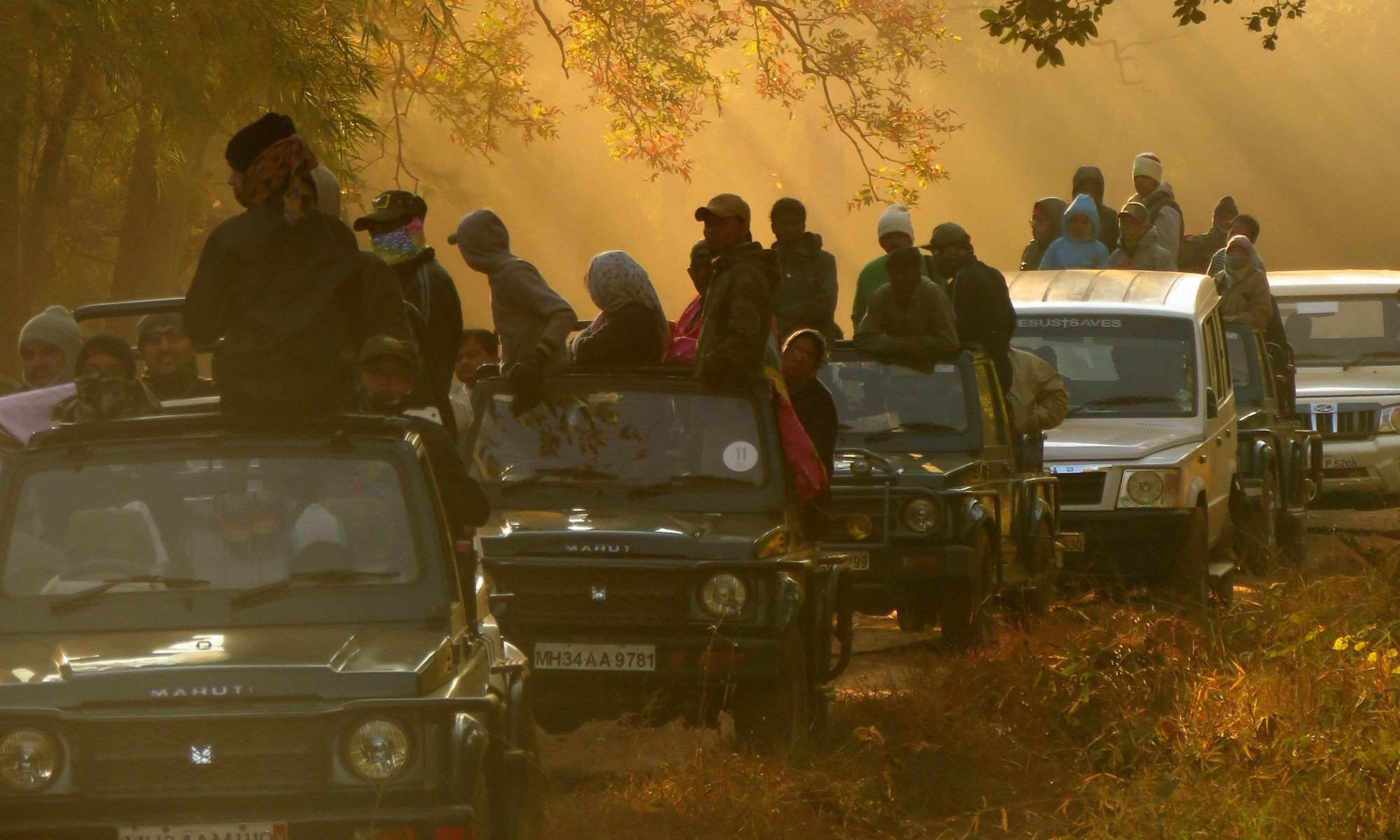 Domestic tourism India